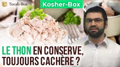 Kosher-Box : Le Thon en conserve, Cachère sans tampon ?