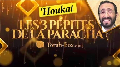Les 3 Pépites de la Paracha 'Houkat