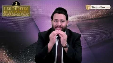 Les 3 Pépites de la Paracha Vayigach