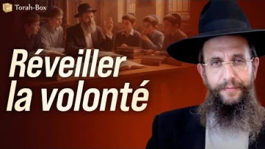 Réveiller la volonté