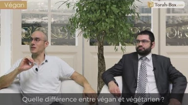 Zoom sur les Végans