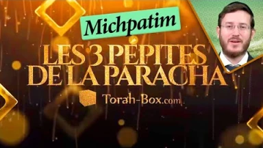 Les 3 Pépites de la Paracha Michpatim