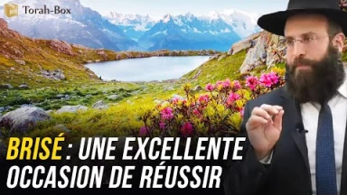 Brisé : Une excellente occasion de réussir