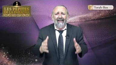 Les 3 pépites de la Paracha Béhaalotékha