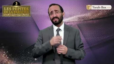 Les 3 Pépites de la Paracha Noa'h