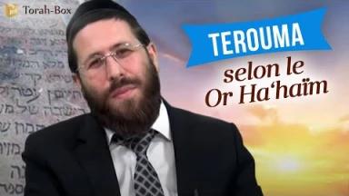 Terouma selon le Or Ha‘haïm