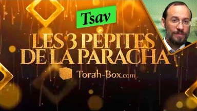 Les 3 Pépites de la Paracha Tsav