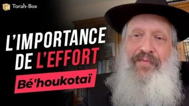 Le Message de la Paracha - Bé'houkotaï : L’importance de l’effort…