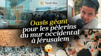 Un oasis géant Torah-Box pour tous les pèlerins du Kotel !