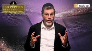 Les 3 Pépites de la Paracha Kora'h