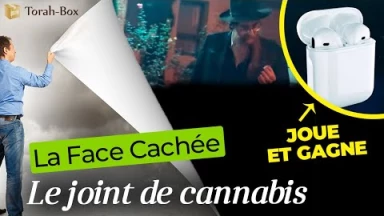 La Face Cachée - Le Cannabis (JOUE ET GAGNE des écouteurs sans-fils !)