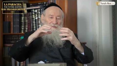 Tazria - Métsora : L'alliance du mot