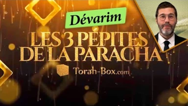 Les 3 Pépites de la Paracha Dévarim
