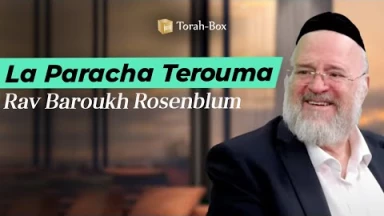 La Paracha Térouma avec Rav Rosenblum
