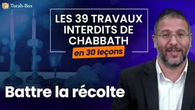 Les 39 travaux interdits le Chabbath en 30 leçons - web-formation facile - N°3 : Battre la récolte