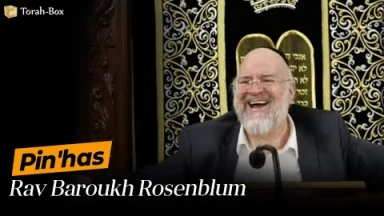 La Paracha Pin'has avec Rav Rosenblum