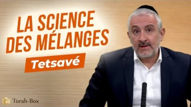 Le Message de la Paracha Tetsavé : La science des mélanges