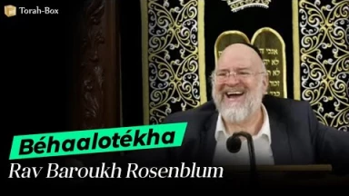 La Paracha Béha'alotékha avec Rav Rosenblum