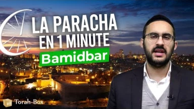 La Paracha en 1 minute - Bamidbar