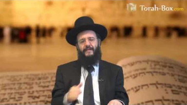 Appel du Rav Dayan : "S'occuper d'un mort, la plus grande Mitsva"