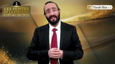 Les 3 Pépites de la Paracha Tetsavé