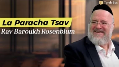 La Paracha Tsav avec Rav Rosenblum