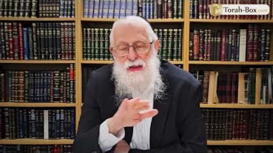 Noa'h par le Rav Gérard Zyzek : "Que savons-nous des débuts d'Avraham Avinou ?"