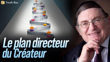 Le plan directeur du Créateur