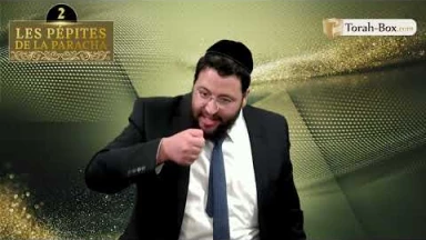 Les 3 Pépites de la Paracha Réé