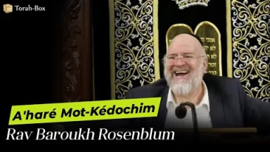 La Paracha A'haré Mot-Kédochim avec Rav Rosenblum