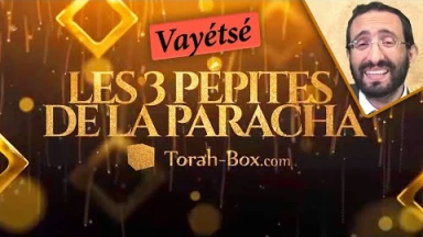 Les 3 Pépites de la Paracha Vayétsé