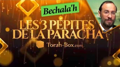 Les 3 Pépites de la Paracha Béchala'h