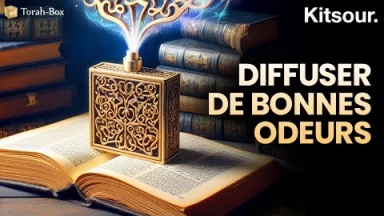 "Votre Mission Si Vous L'acceptez Est De Diffuser De Bonnes Odeurs..." Kitsour.