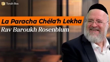 La Paracha Chéla'h Lékha avec Rav Rosenblum