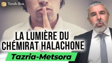 Le message de la Paracha Tazria-Metsora : La lumière du Chémirat Halachone
