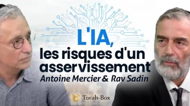 L'IA (intelligence artificielle) & les risques d'un asservissement