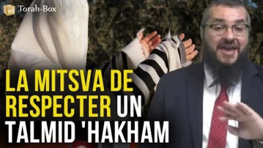 Explication de la Mitsva de respecter un Talmid 'Hakham (érudit)