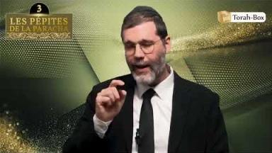 Les 3 Pépites de la Paracha Tolédot