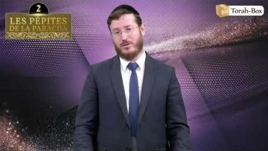 Les 3 Pépites de la Paracha Ki-Tetsé