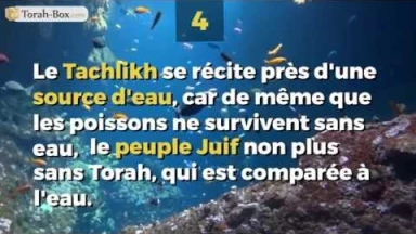 5 choses que vous ignorez (peut être) sur Roch Hachana