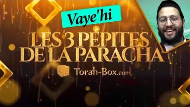 Les 3 Pépites de la Paracha Vaye'hi