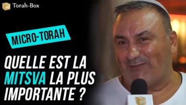 Micro-Torah : Quelle est la Mitsva la plus importante ?