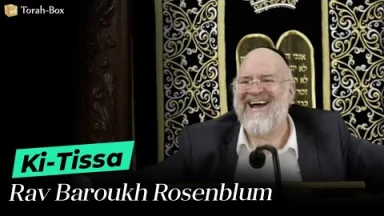 La Paracha Ki-Tissa avec Rav Rosenblum