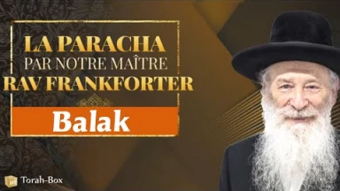 Balak : Bilam le faussaire