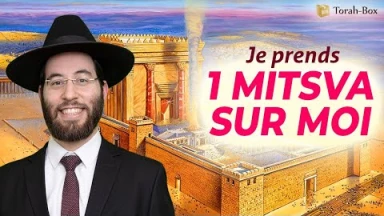 À vous de prendre une petite Mitsva sur vous. Pour 1 jour, 1 semaine ou 1 mois !