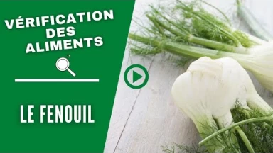 La vérification des aliments : Le Fenouil