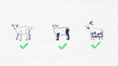 Draw My Paracha : Réé