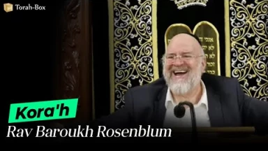 La Paracha Kora'h avec Rav Rosenblum