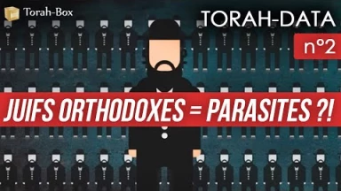 TORAH-DATA n°2 : Juifs orthodoxes = parasites ?