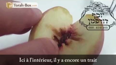 Les vers dans la pêche (bdikat tola'im)